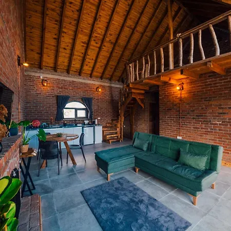 Oasis * سبانجا